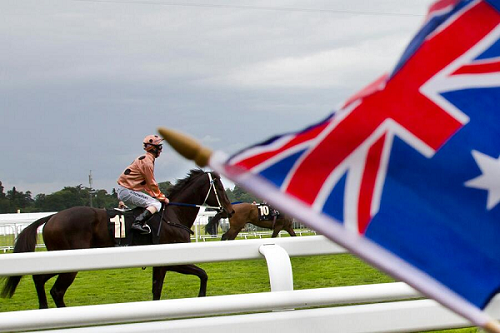 Black Caviar, Red Wine