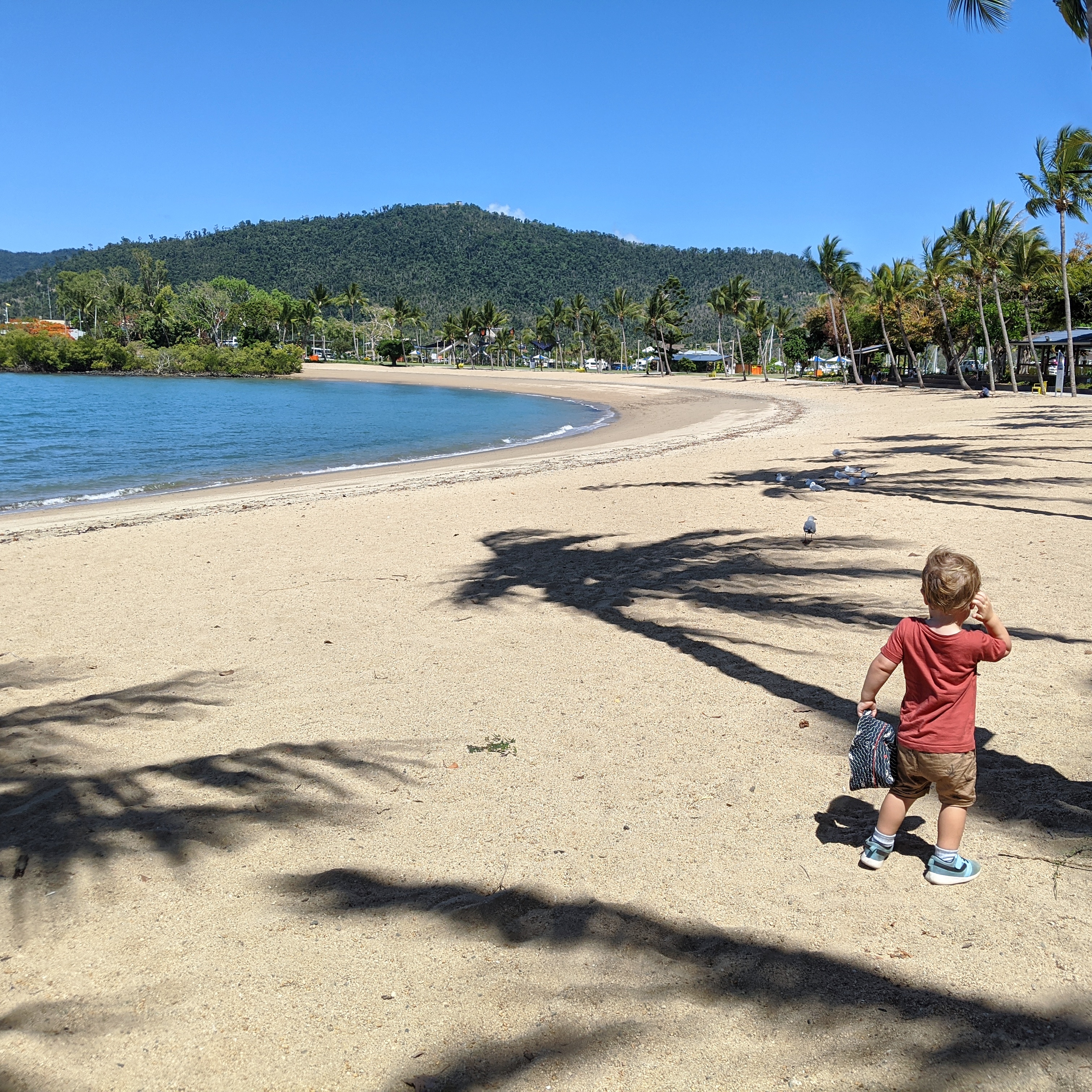 Boy on at Airlie Beach